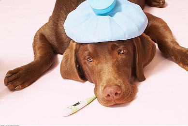 港服PS三档会员新增试玩游戏：《巫师3狂猎 完全版》